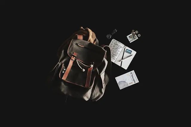 Cómo planificar un viaje accesible al extranjero