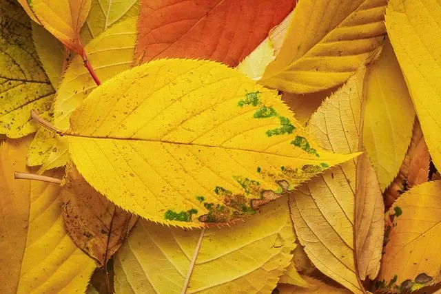 10 conseils mode pour bien choisir vos vêtements d'automne