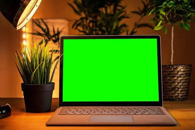 10 Essential Tips for Defining Your Influencer Path