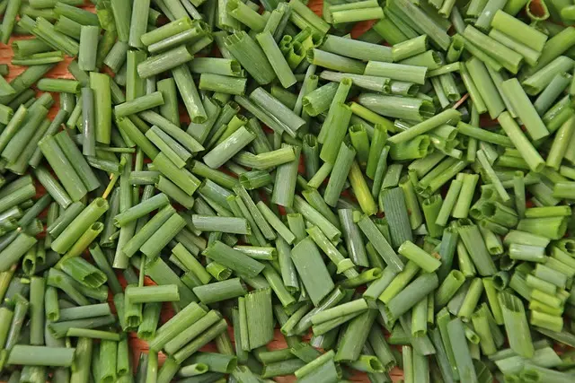 Guide Pratique pour Cultiver des Légumes Santé