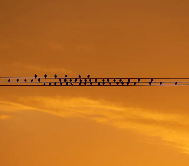 Comment Utiliser la Visualisation pour Éliminer le Stress
