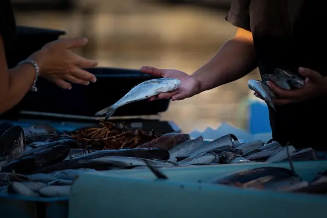 Comment bien choisir le poisson frais selon la saison