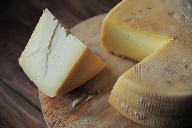 Les fromages fermentés : Découvertes et bienfaits