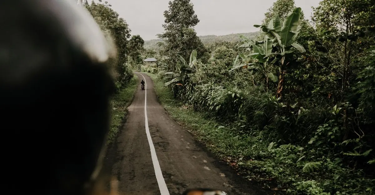 Sérénité et Panoramas : Les Belles Routes Zen