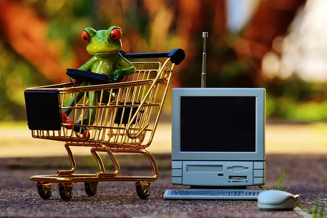 Les avantages méconnus des supermarchés en ligne
