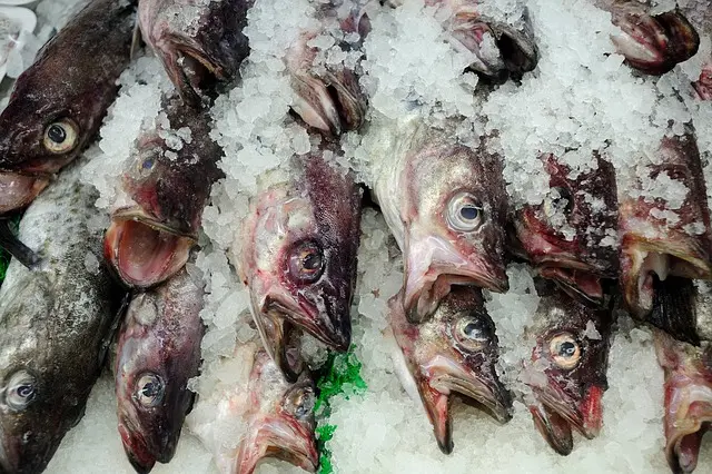 Le Guide Complet des Différents Types de Fruits de Mer