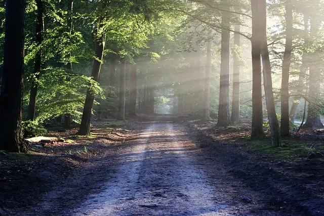 Comment Trouver des Activités de Loisirs Écologiques Près de Chez Vous