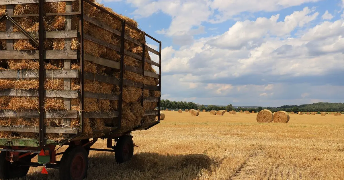 Optimiser l'utilisation de votre remorque agricole : 10 conseils pratiques