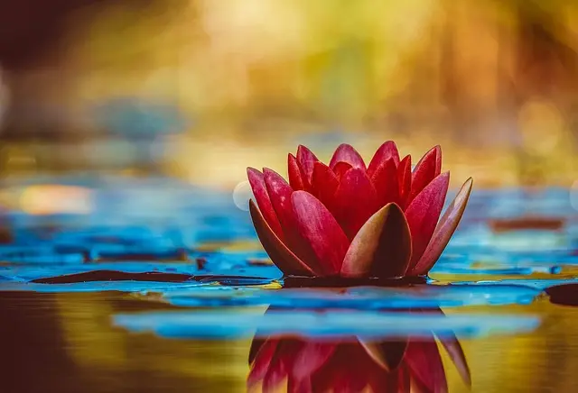 Les Bienfaits de la Peinture Zen pour Équilibrer Votre Esprit