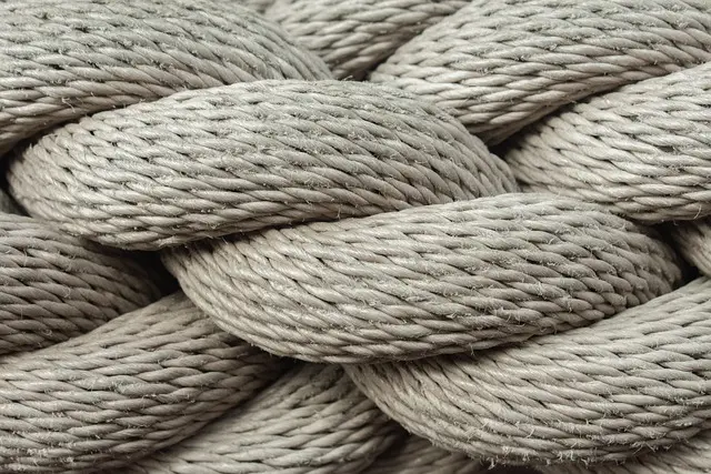 Comment Vérifier la Qualité de Votre Connexion Fibre Internet