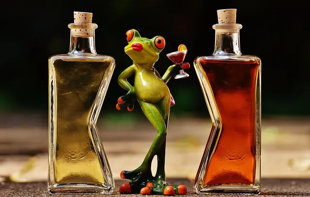 Les Meilleures Recettes de Cocktails pour Épater vos Invités
