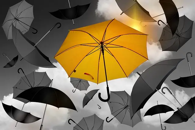Les 5 Clés pour Créer un Projet de Nouvelle Vie Réussi