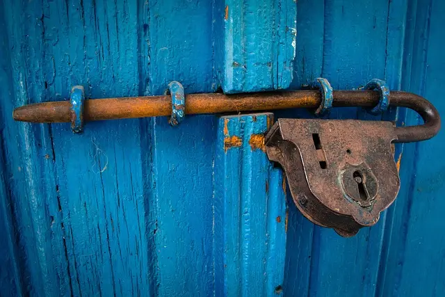 Les meilleures pratiques pour sécuriser votre connexion Internet en Belgique