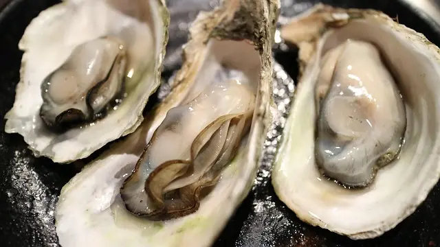 Les Fruits de Mer à Déguster : Top 10 des Variétés Indispensables
