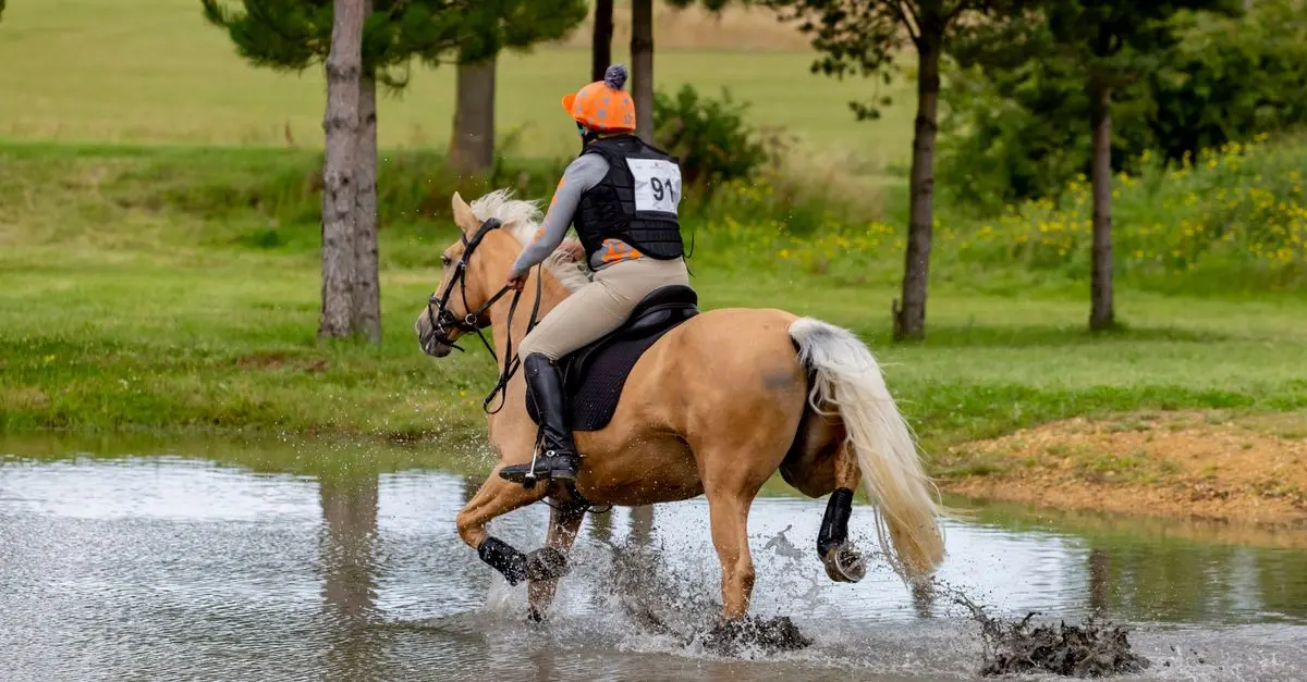 Guide d'achat : Meilleur équipement de cross-country