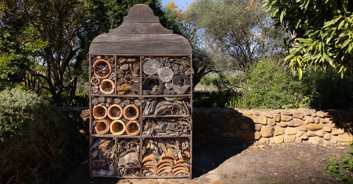 Comment attirer les insectes pollinisateurs dans votre jardin