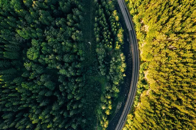 Les pays à visiter absolument en 2026 : Tendances et choix essentiels