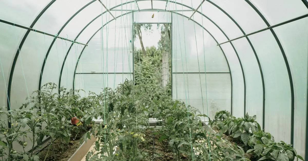 Les meilleures alternatives aux produits chimiques en jardinage bio