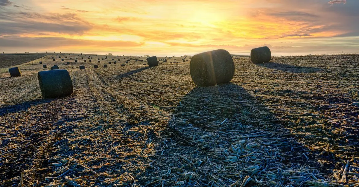 Comment choisir des pièces agricoles écologiques pour votre équipement