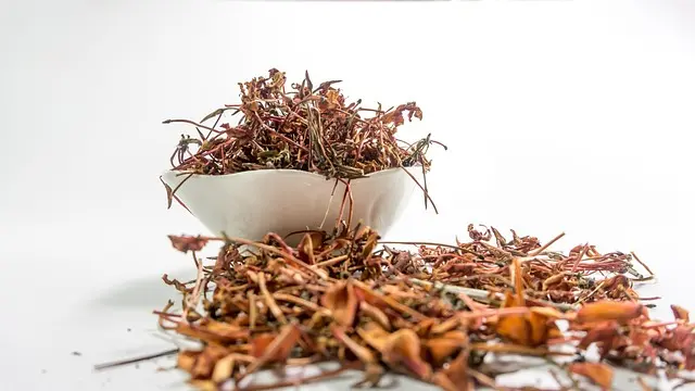 Les Erreurs Courantes en Ayurveda à Éviter pour Optimiser Votre Santé