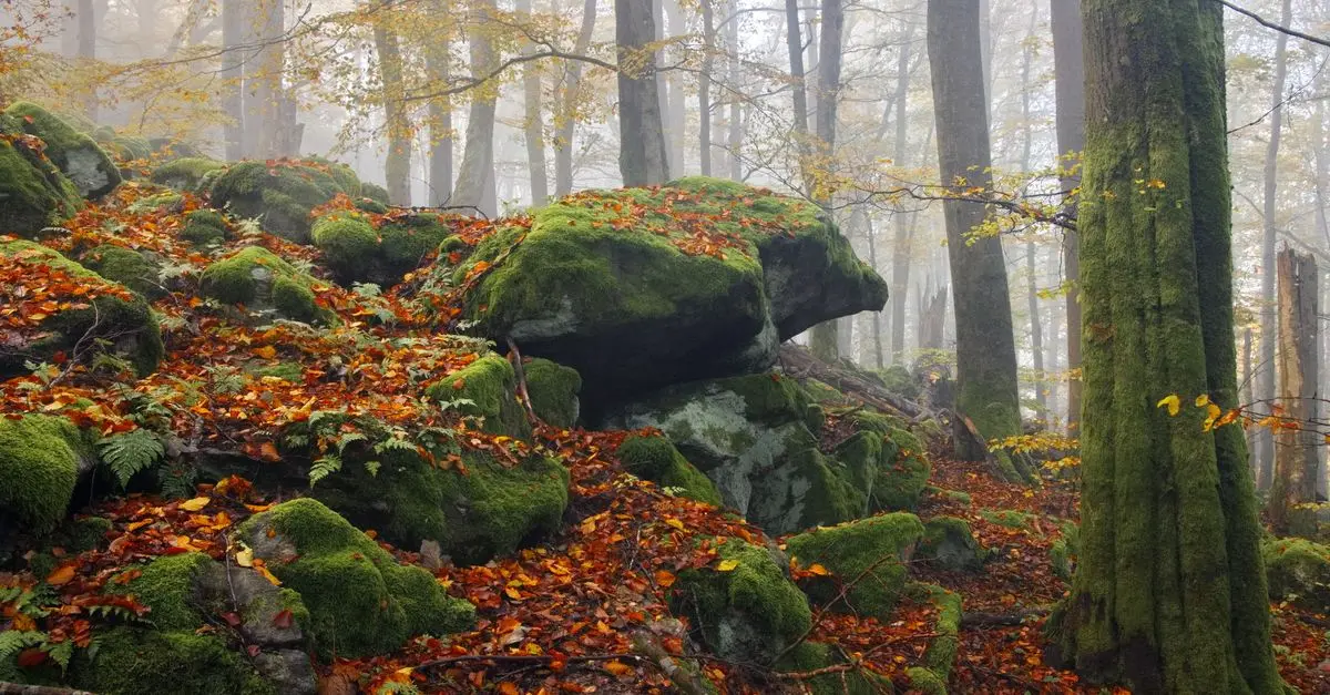 10 Unique Travel Discoveries You Should Explore This Year