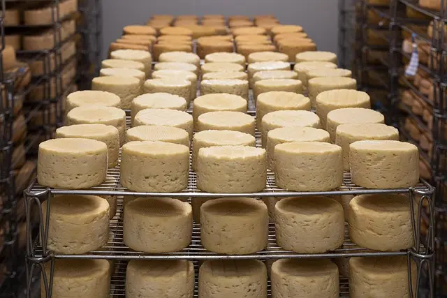 Les fromages d'Asie à découvrir : saveurs et traditions