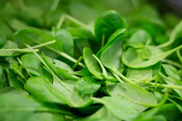 10 Alimentos que Mejoran tu Salud Digestiva