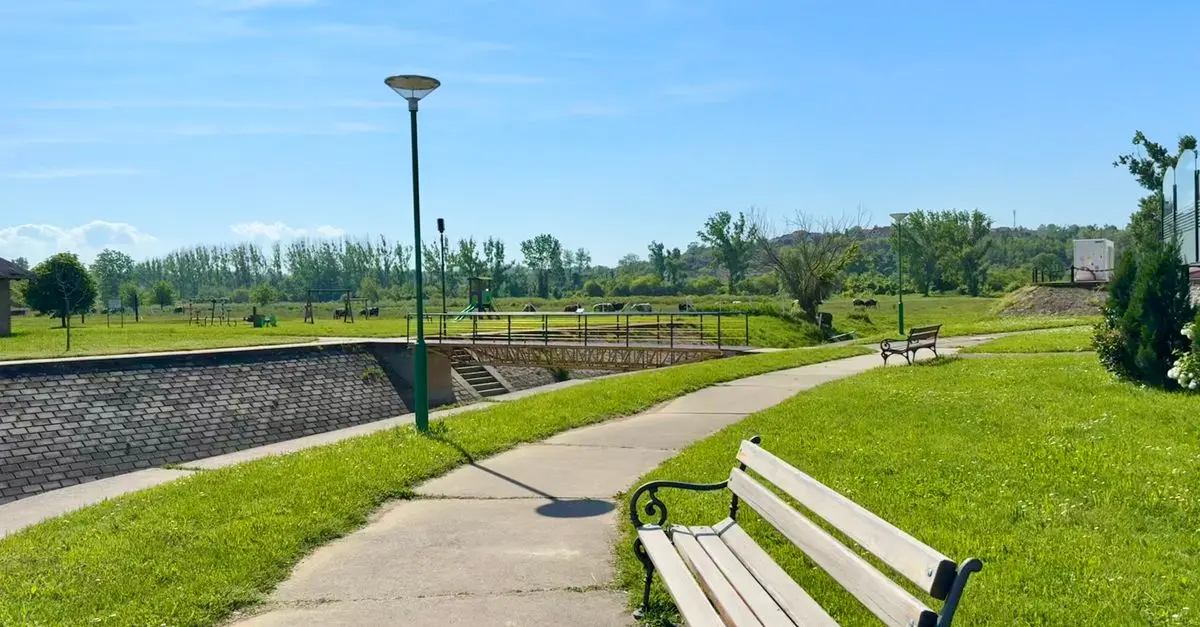 The Importance of Building a Pet-Friendly Environment