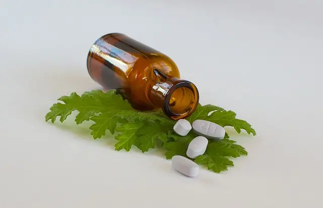 L'importance des Plantes Médicinales en Médecine Traditionnelle