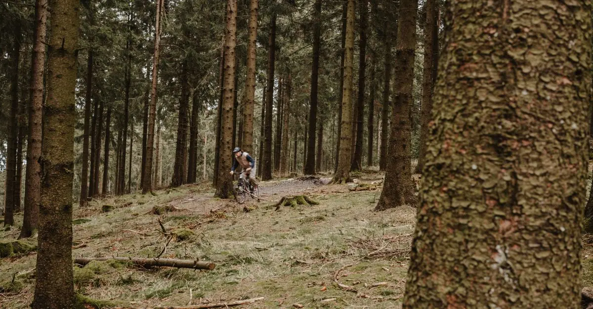 Les Avantages du VTT pour la Forme Physique