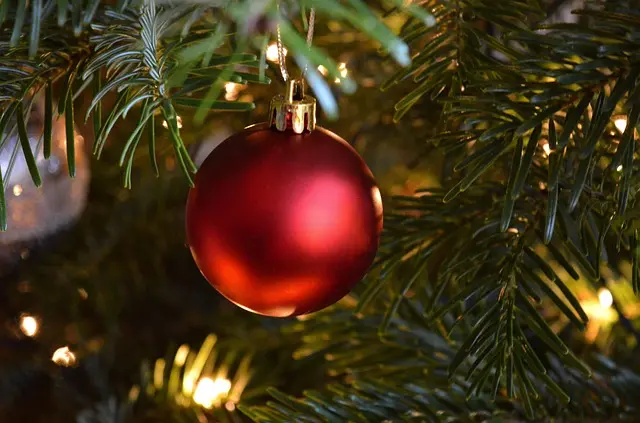 10 Astuces pour Créer une Magie de Noël Éblouissante