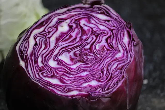 Comment Cultiver des Légumes de Saison : Guide Pratique