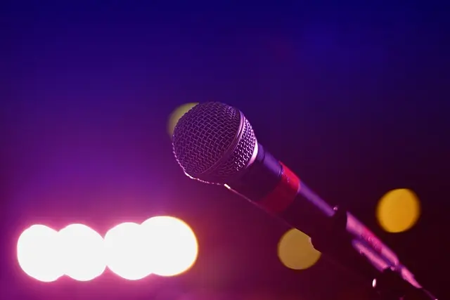 Cómo organizar una noche de karaoke en español: guía práctica