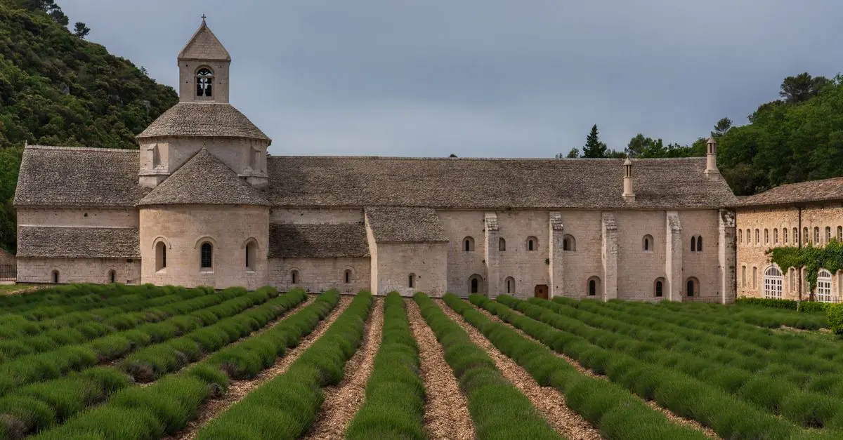 Les Meilleures Activités à Explorer lors de Vos Vacances en France