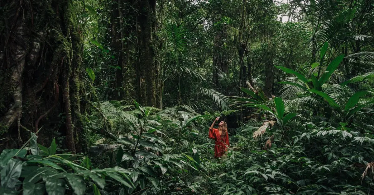 Cómo maximizar tu experiencia de viaje con el ecoturismo