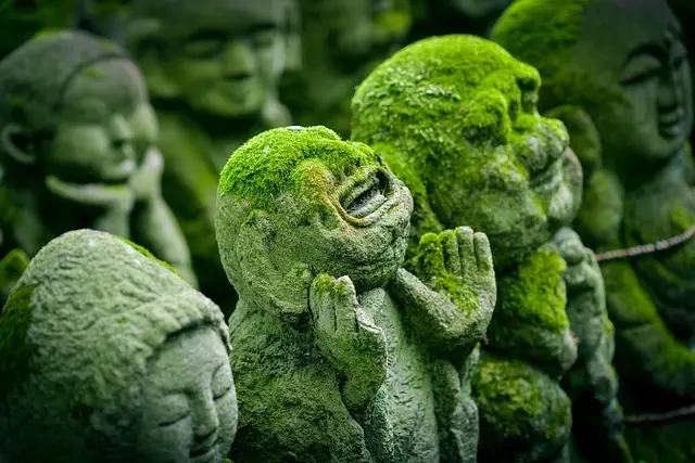 Les Mystères des Objets Anciens : Déchiffrez Leur Histoire