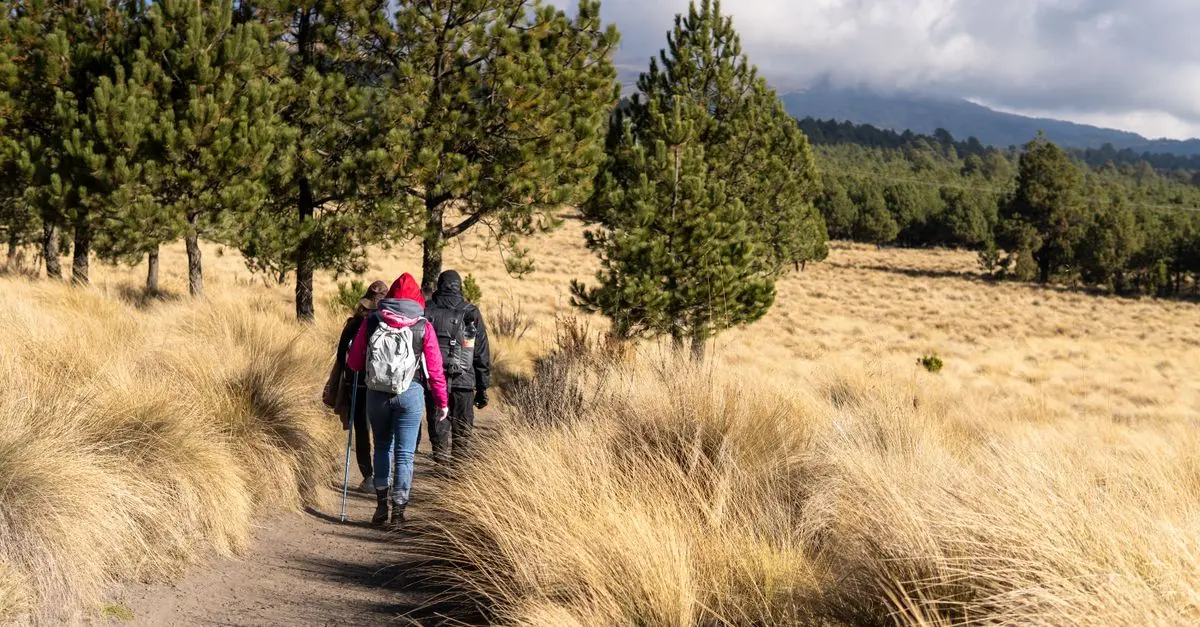 Todo lo que necesitas saber sobre el ecoturismo de placer