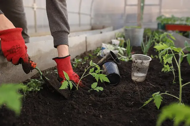 Guide Pratique pour Cultiver des Légumes En Pots : Méthodes et Astuces