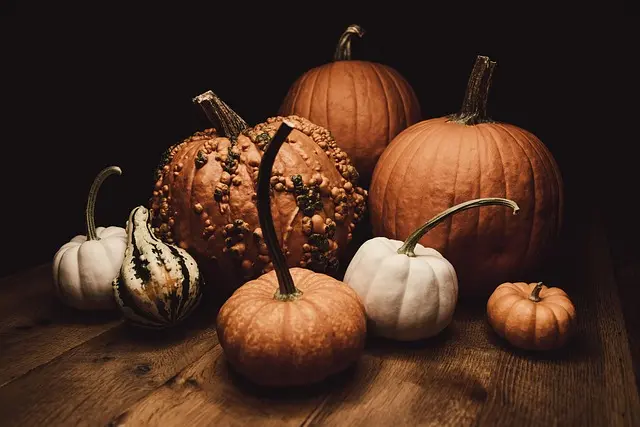 Les différents types de citrouilles à connaître pour Halloween