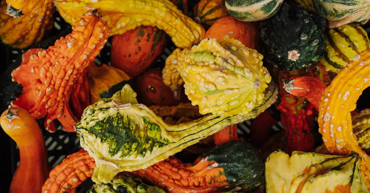 Les Plats Corses de Cuisine de Fête : Recettes et Traditions