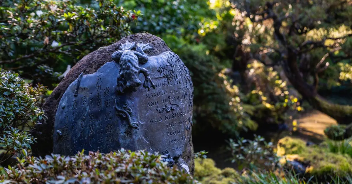 Finding Zen: Essential Practices for Everyday Life