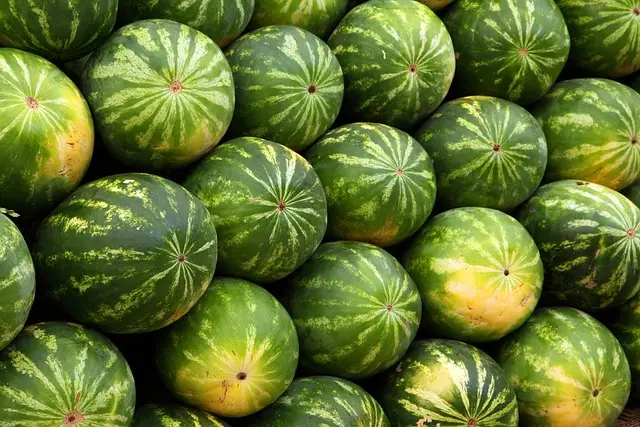 10 stratégies pour améliorer la vente directe de vos produits agricoles