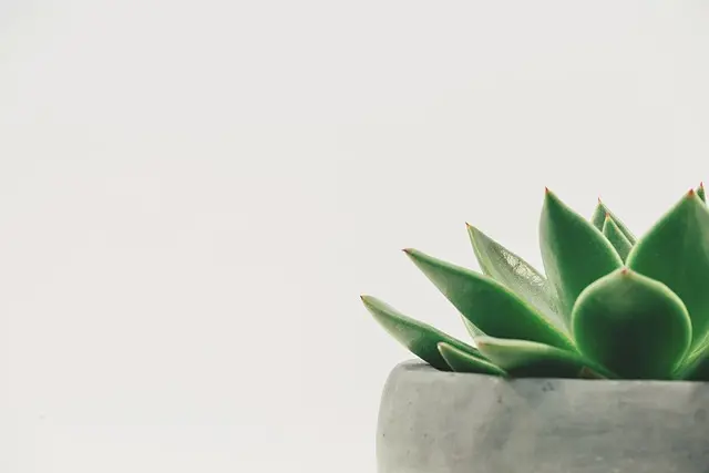 10 Astuces pour Créer un Environnement d'Étude Optimal