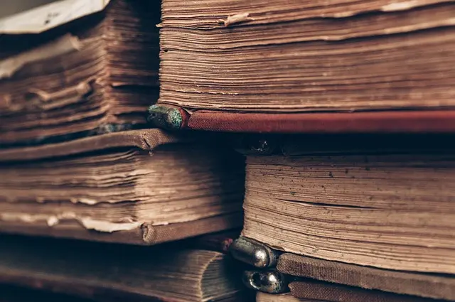 Les objets anciens en cuir : histoire et techniques de préservation