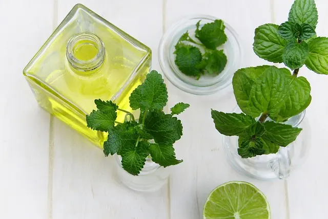 Les Bienfaits de l'Ayurveda sur la Santé Émotionnelle