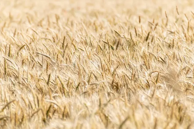 Comment choisir les outils de coupe adaptés à votre ferme