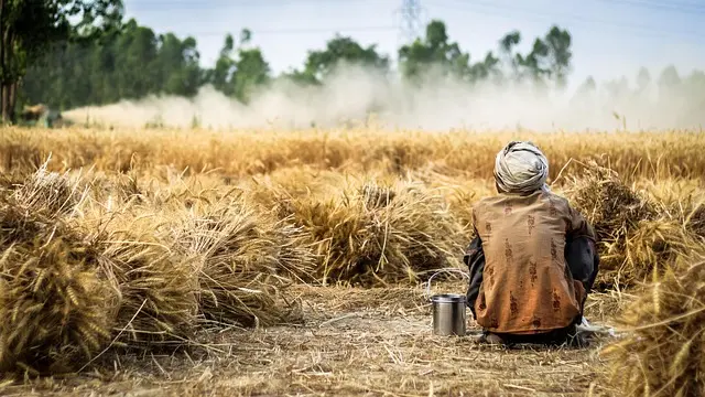 Comment bien choisir vos outils de ferme en fonction de vos cultures
