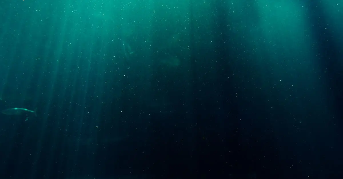 Exploring the Deep Sea: Mysterious Creatures Discovered