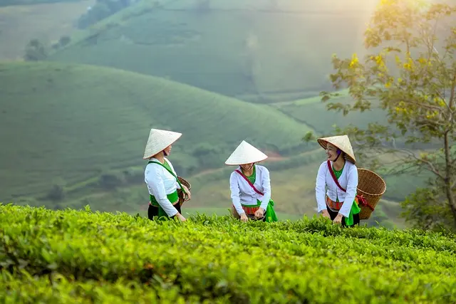 Les 5 critères essentiels pour choisir vos pièces agricoles