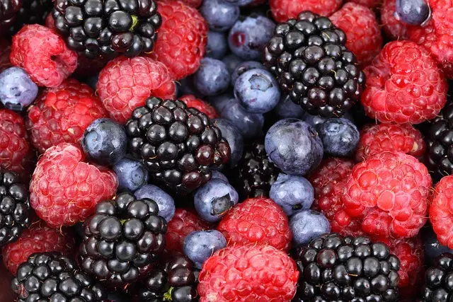 Les secrets des produits bio en ligne : ce que vous devez savoir